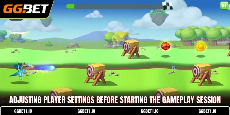 Adjusting player settings before starting the gameplay session