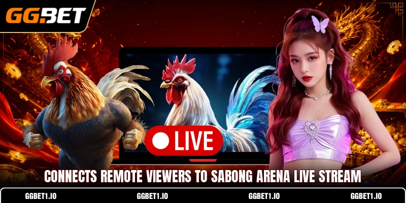 Connects remote viewers to Sabong Arena Live Stream