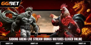 Sabong Arena Live Stream Brings Matches Closer Online