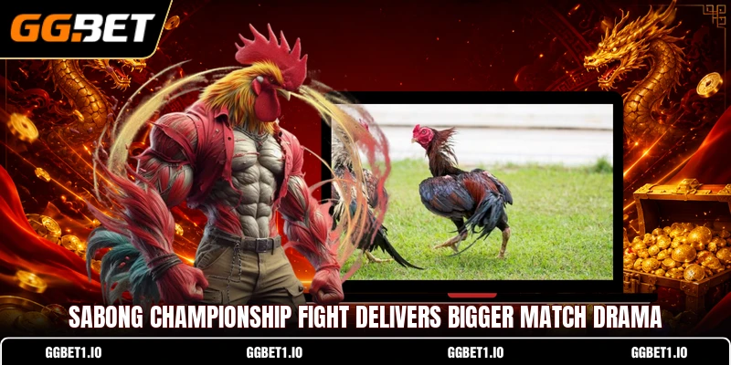 Sabong Championship Fight Delivers Bigger Match Drama