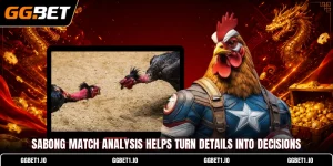 Sabong Match Analysis Helps Turn Details Into Decisions