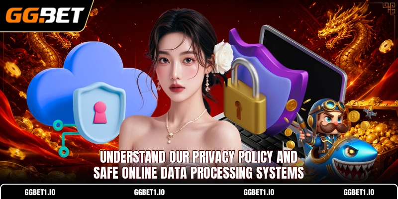 Understand our privacy policy and safe online data processing systems
